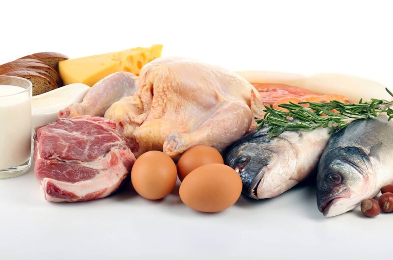 Fisch, Fleisch, Milch – Ernährungsempfehlungen der DGE 
