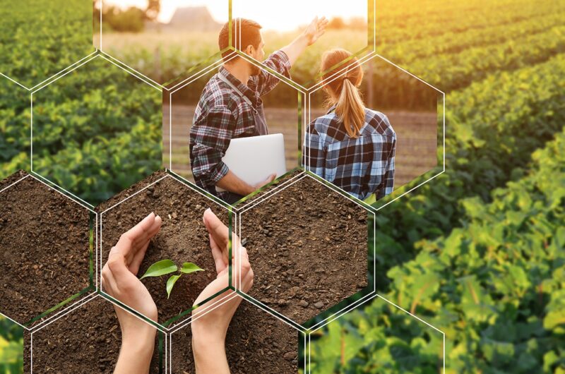 Biodiversität über den Tellerrand: Abschluss-Konferenz, 27. – 29.09.23 in Berlin