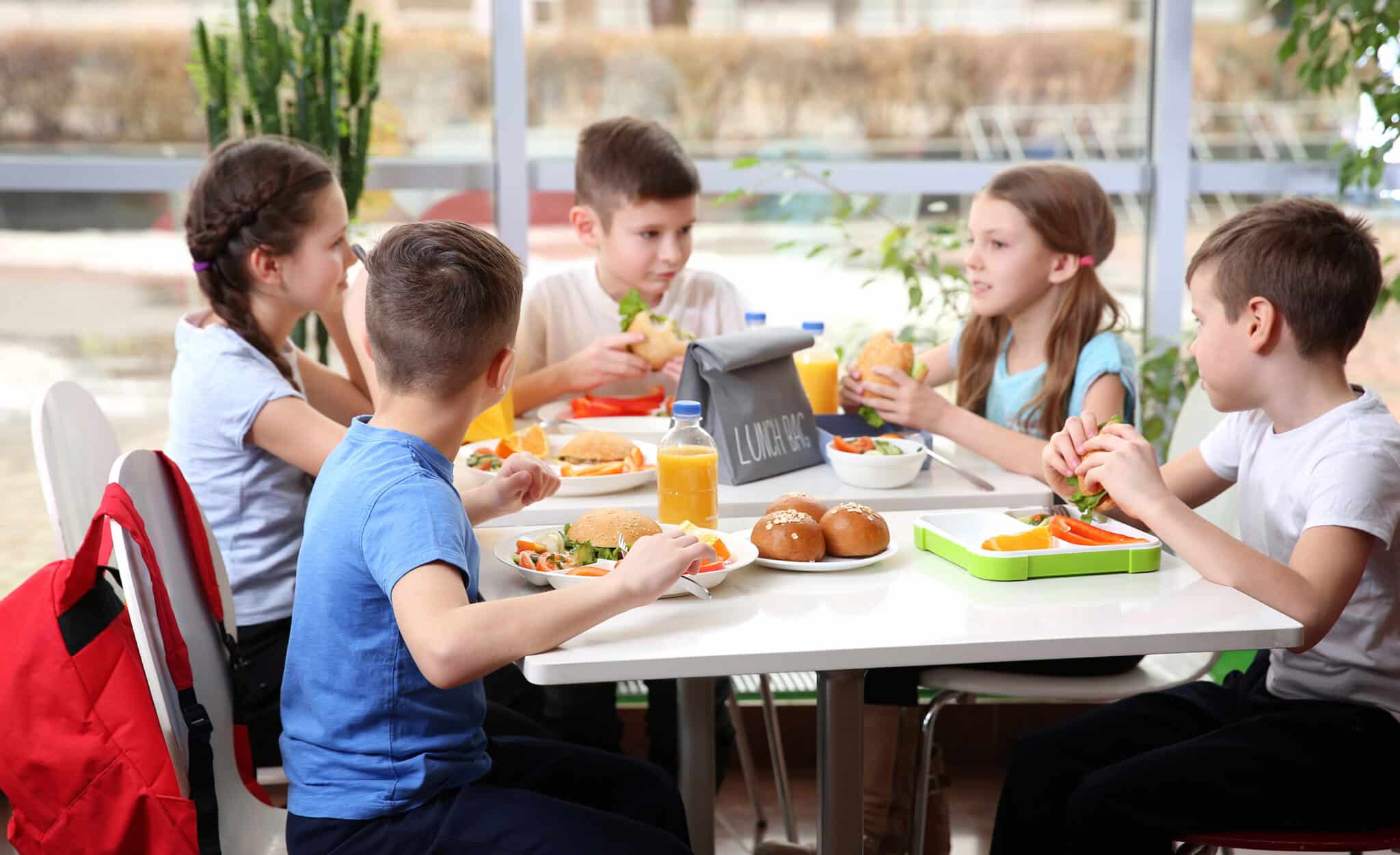 Ernährungsbildung in Kita und Schule