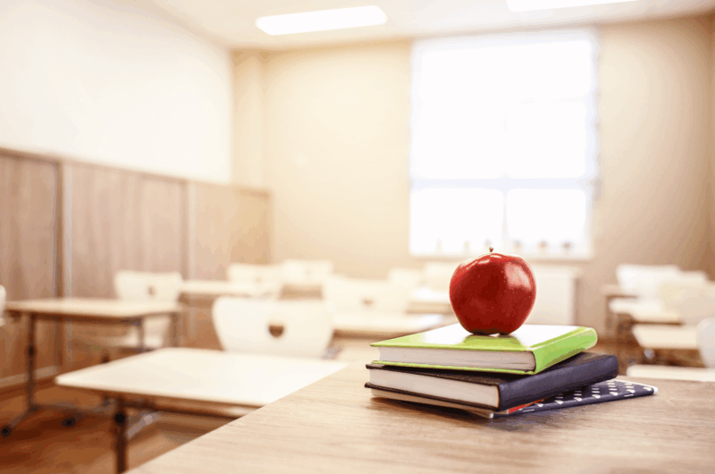 Wie kann Ernährungsbildung in der Kita und Schule umgesetzt werden?
