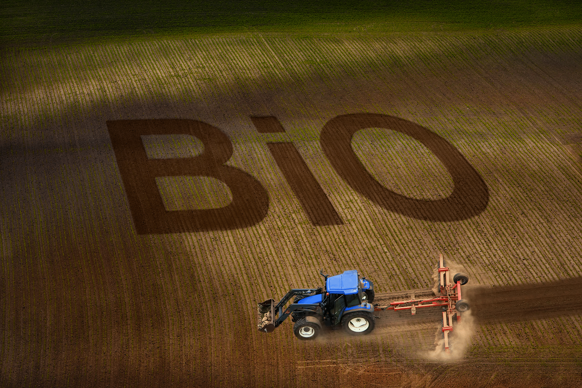 neues Bio-Logo, Bio-Siegel Küchen, Kantinen, Gemeinschaftsverpflegung, Bio-Beratung