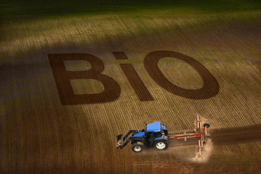 Neues Bio-Logo in Küchen und Kantinen der Gemeinschaftsverpflegung, Bio-Beratung, Kommunikation der Bio-Zertifizierung