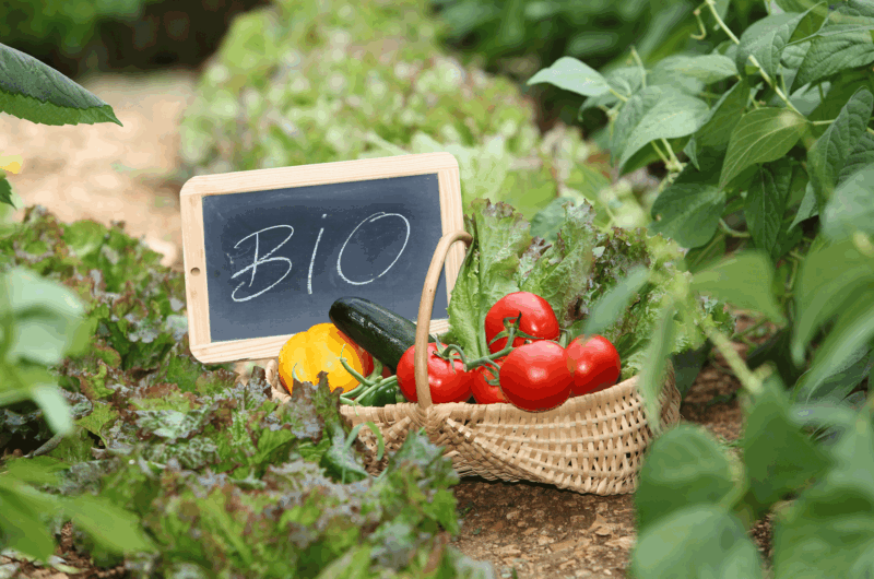 Bio in Schleswig-Holstein: bis zu 100 % Förderung für Beratungskosten!
