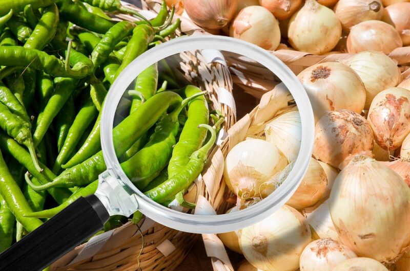 HACCP meets Bio: Die sichere und nachhaltige Verpflegung in Kantinen