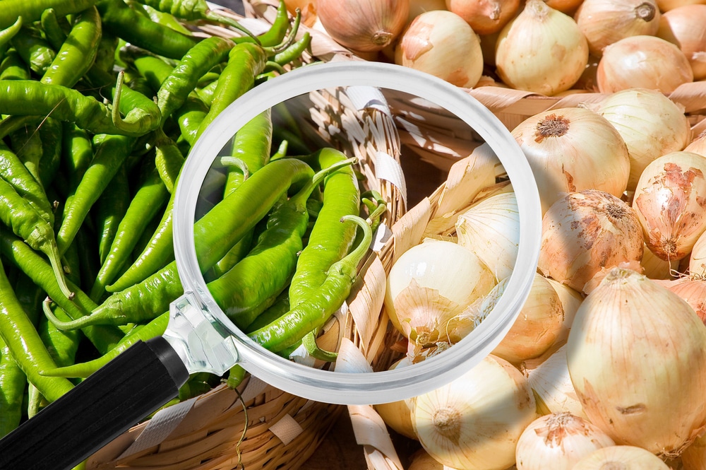 HACCP-Konzepte-Bio